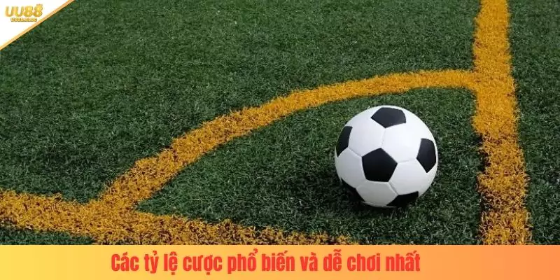 Các tỷ lệ cược phổ biến và dễ chơi nhất